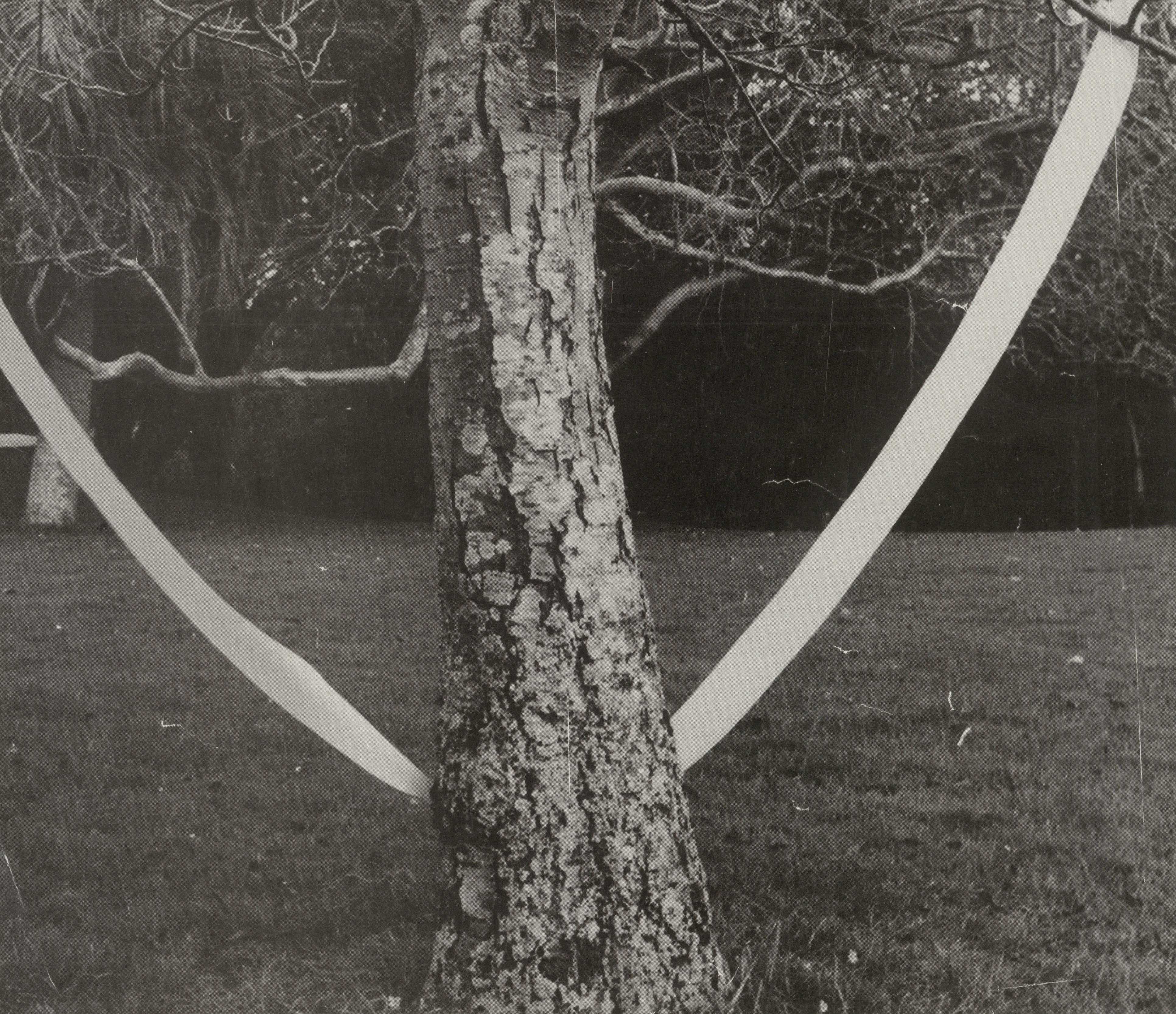 Black and white photograph of a white shape tied hanging behind a tree, as if to form artificial branches.